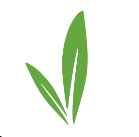 Isologo
