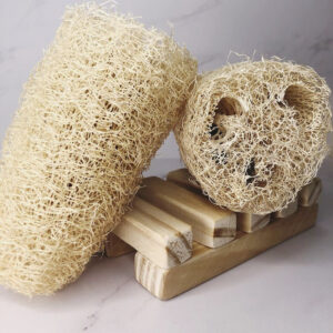 Esponja de Luffa